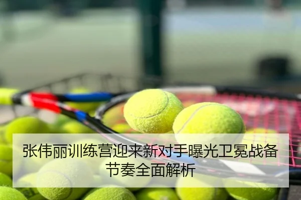 张伟丽训练营迎来新对手曝光卫冕战备节奏全面解析