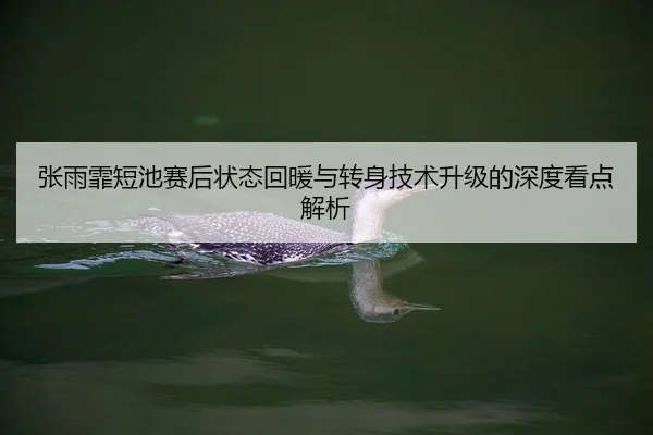张雨霏短池赛后状态回暖与转身技术升级的深度看点解析 | 28-kj